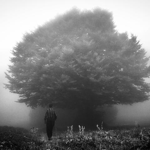  2020 Banff Mountain Photo Essay Competition Special Jury Mention, The Last Shepherd, Mauro Cironi