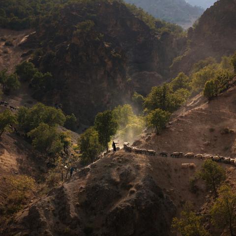 2022 Banff Mountain Photo Essay Competition Grand Prize, Zagros, Emily Garthwaite