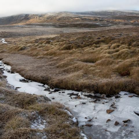 Arctic tundra with frozen stream