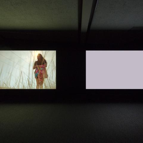 Two large screens in a dark room, one is a blank pink and the other vaguely shows a person.