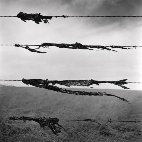 black and white image of a wire fence with tattered fabric on the wires