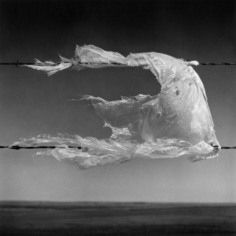 black and white image of a wire fence with tattered plastic bag on the wires