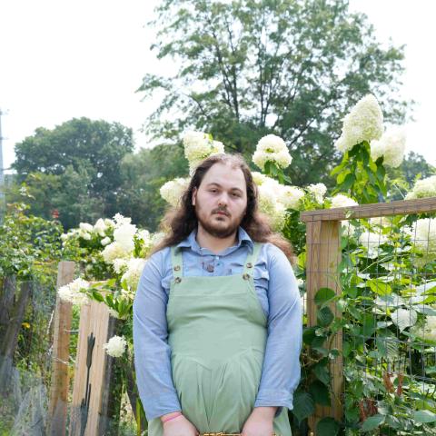 Fall Raye