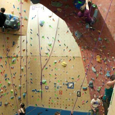 Climbers in the Sally Bordern Gym