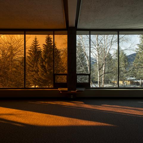 Nicole Kelly Westman, installation view "Rose, Dear" (2016). Commissioned by Walter Phillips Gallery, The Banff Centre. Photo by Jessica Wittman 