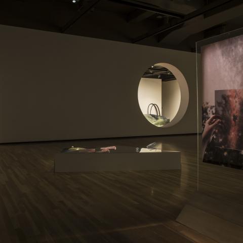 Maggie Groat and Jimmy Limit, Installation view of “Teaser Poster #3 for FI” (2016). Commissioned by Walter Phillips Gallery, Banff Centre for Arts and Creativity.  Photo by Rita Taylor