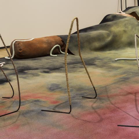 Julia Crabtree and William Evans, Installation view of “Gulch” (2016). Commissioned by Walter Phillips Gallery, Banff Centre for Arts and Creativity.  Photo by Rita Taylor