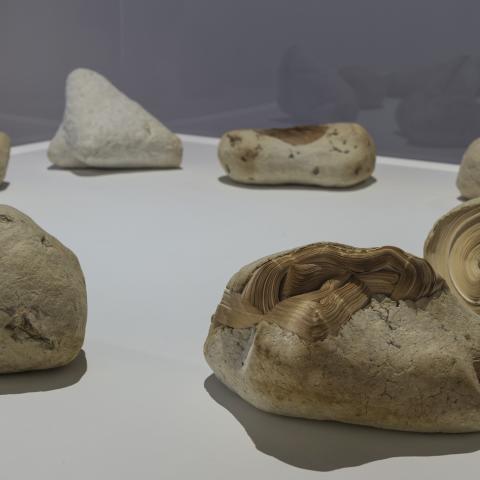 Sculptural rocks are placed in a circle in a glass case. 