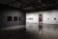 Installation view of Facing Photographs, Walter Phillips Gallery