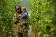 From the film Farming Turns