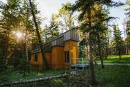 Studio in the forest