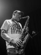 Zebra saxophonist Joe Ernewein