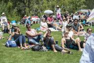 group of people seating on the grass on summer time 