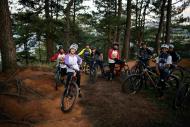 Group of young people posing on their bikes in a forest trail