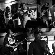 Zebra band members