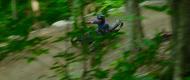 Adaptative mountain biker riding in a forest